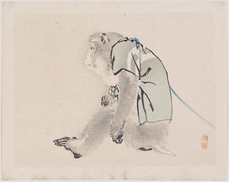 Performing Monkey