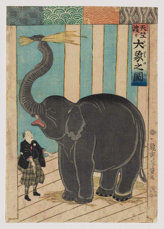 The Great Elephant from India (Tenjiku watari dai zô no zu)