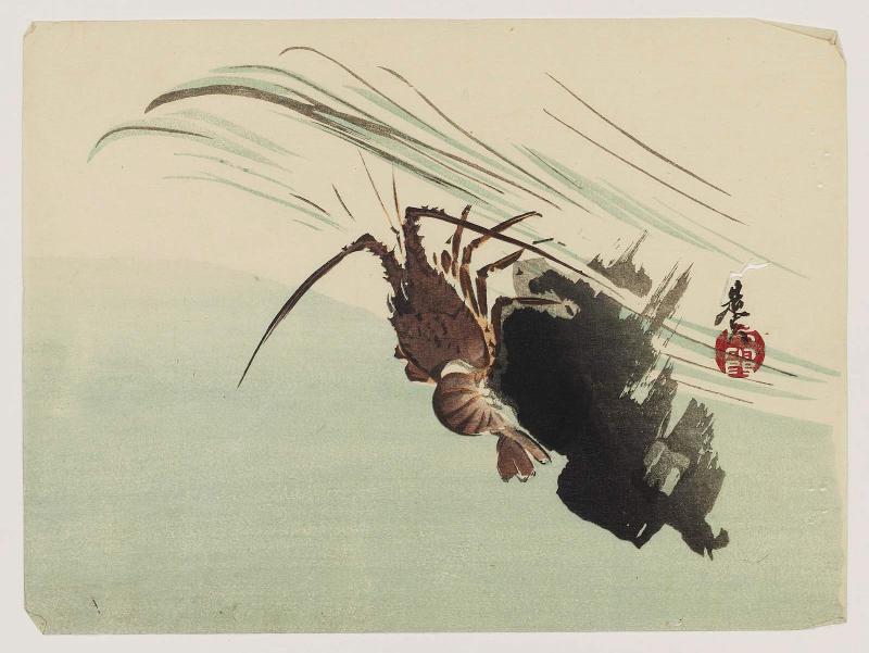 Spiny Lobster on Rock