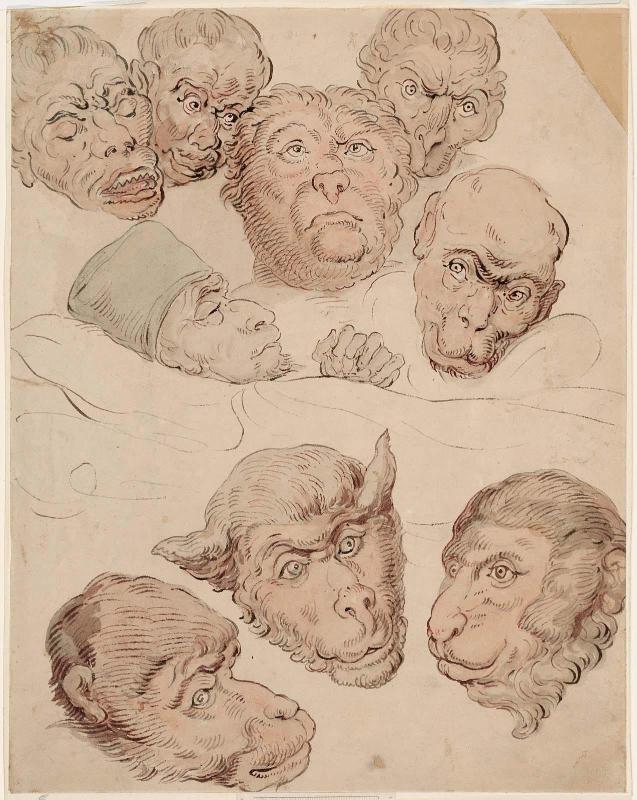 Nine Human and Animal Heads