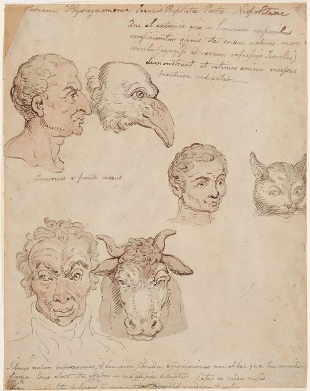 Six Human and Animal Heads