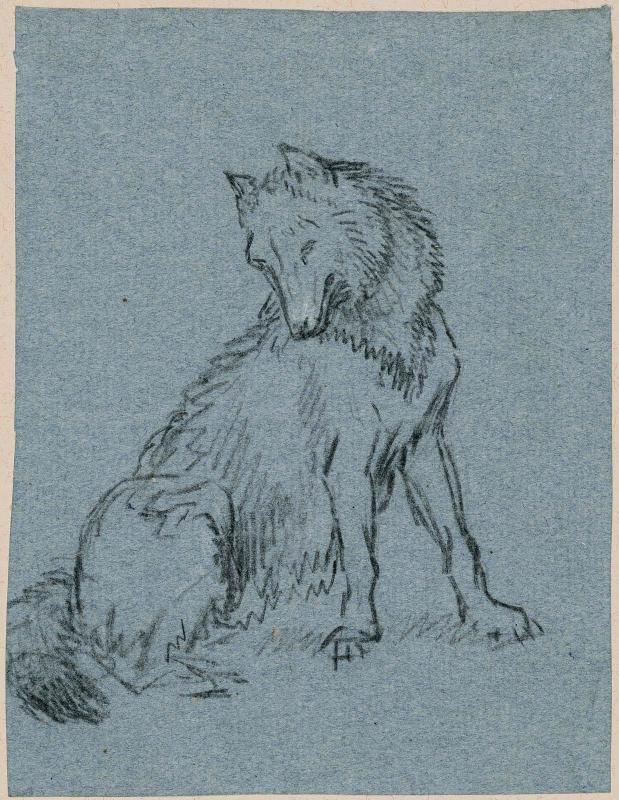 Study of a Dog