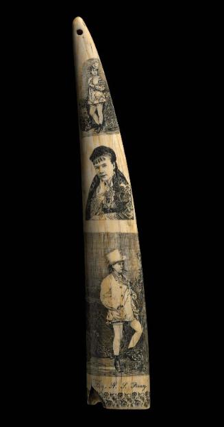 Walrus tusk scrimshaw