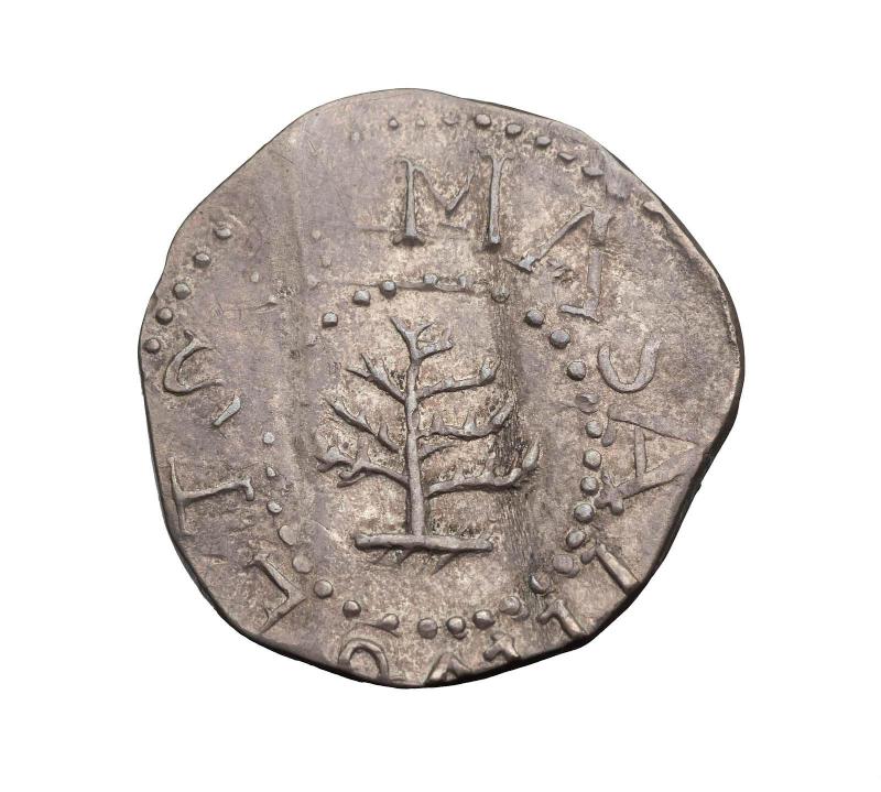 Pine Tree Threepence