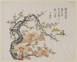 Plum blossom and camellia