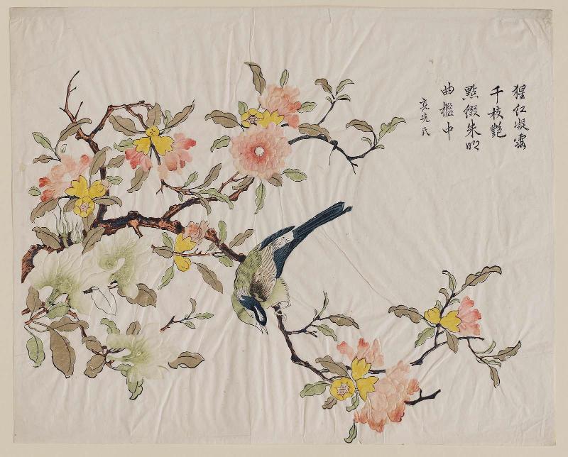 Bird on camellia branch