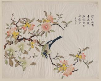 Bird on camellia branch