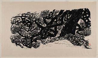 Pine Tree (Matsu)