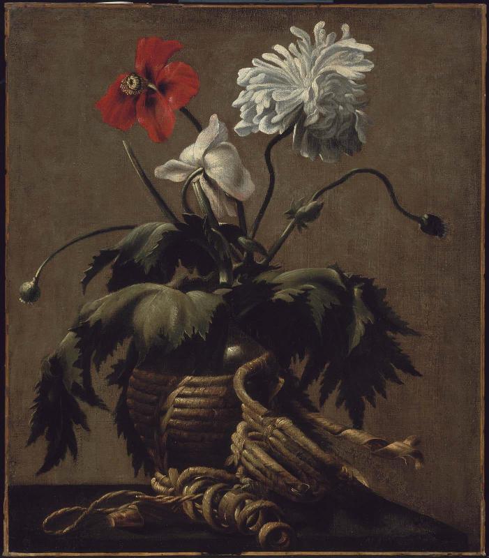Poppies in a Wine Flask