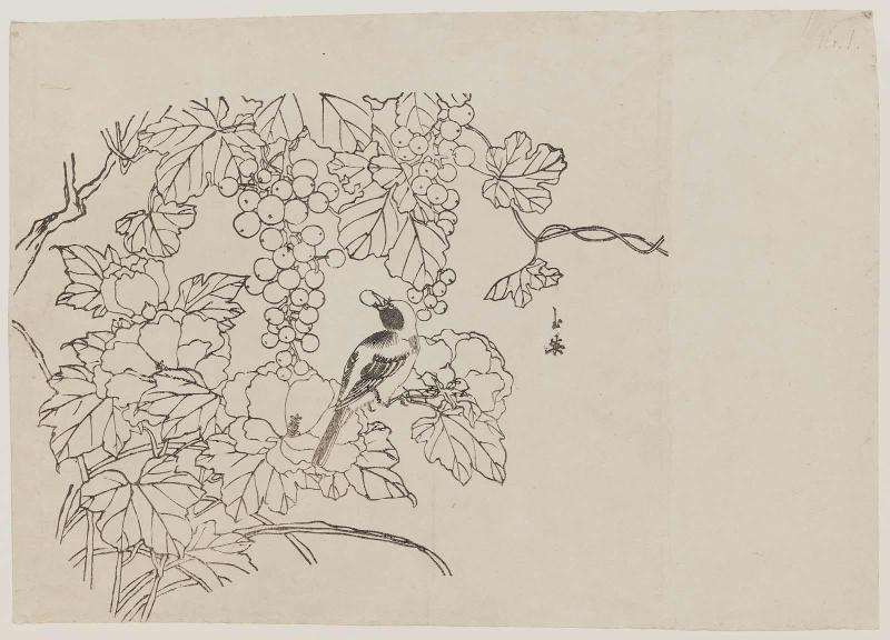 Bird with Hollyhocks and Grapes, No. 1 from a set of fan prints demonstrating the printing process