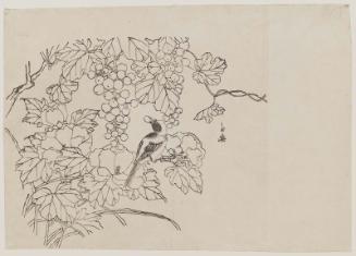 Bird with Hollyhocks and Grapes, No. 1 from a set of fan prints demonstrating the printing process