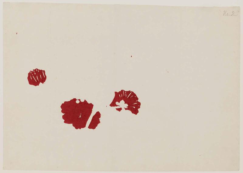 Bird with Hollyhocks and Grapes, No. 2 from a set of fan prints demonstrating the printing process
