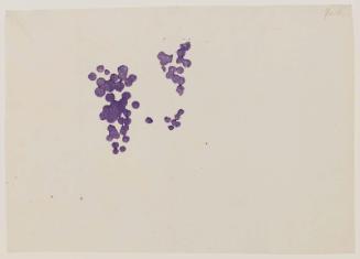 Bird with Hollyhocks and Grapes, No. 4 from a set of fan prints demonstrating the printing process