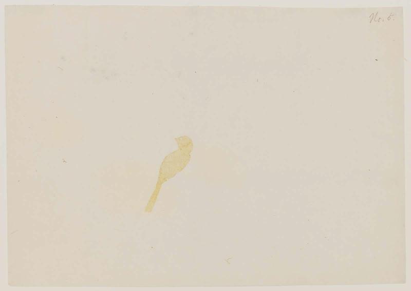 Bird with Hollyhocks and Grapes, No. 5 from a set of fan prints demonstrating the printing process