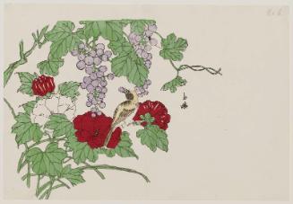 Bird with Hollyhocks and Grapes, No. 6 from a set of fan prints demonstrating the printing process