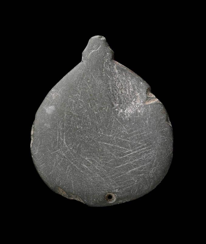 Palette in the shape of a turtle