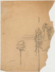 Drawing relating to the "National Parks" series of designs