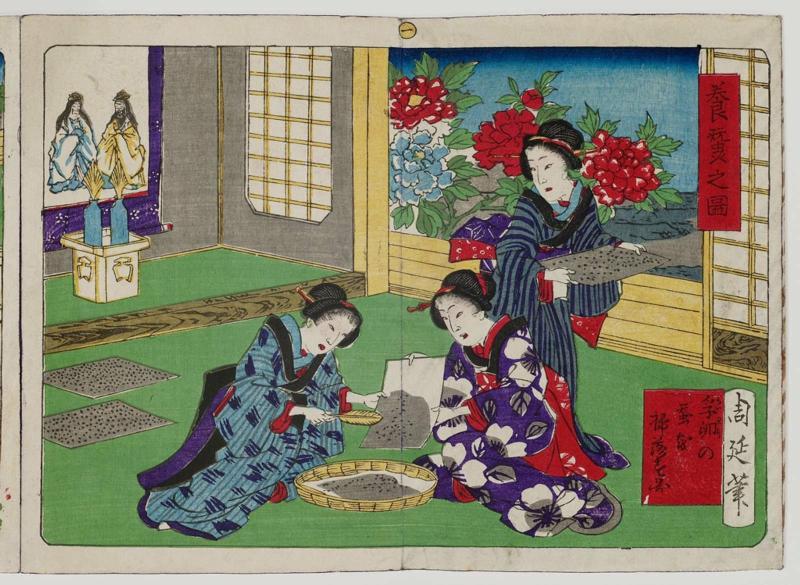 Brushing Down the Silkworm Eggs (Furan no kaiko o hakiotosu zu), No. 1 from the series Sericulture in Pictures (Kaiko no zu)