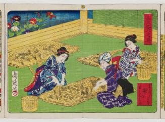 Separating Cocoons from Straw Housing (Mabushi yori mayu o torihanasu zu), No. 7 from the series Sericulture in Pictures (Kaiko no zu)