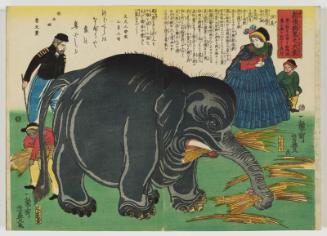 Great Elephant Recently Imported from Overseas (Shin tohakurai no dai zô)
