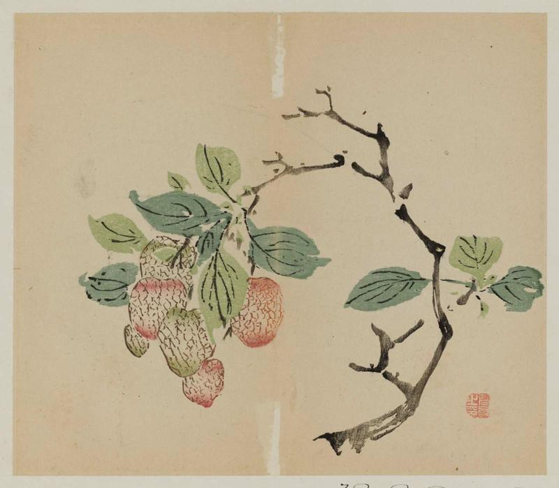 Page from Ten Bamboo Studio - litchi