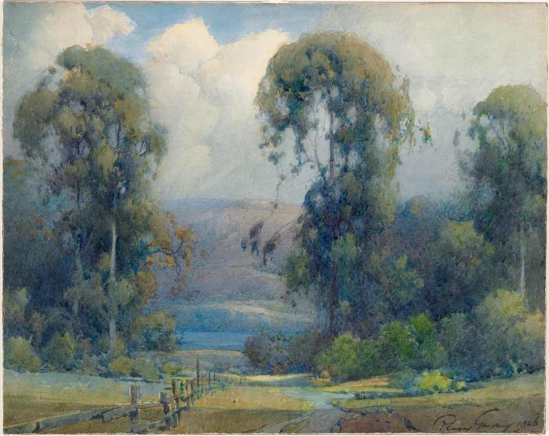 California Eucalyptus