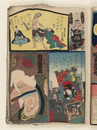 Chi Brigade, Tenth Group, Theater District (Shibaimachi) in Saruwaka: Actor Ichikawa Ebizô V as the Old Woman of the Lonely House (Hitotsuya no uba), from the series Flowers of Edo and Views of Famous Places (Edo no hana meishô-e)