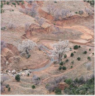 Cottonwoods and Desert Floor, Viewed from the Mummy Cave Overlook, Canyon de Chelly, Arizona