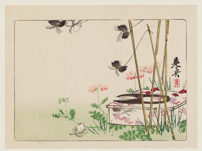 Box, Scissors, and Flowers, from the series Comparisons of Flowers, Part 2 (Hanakurabe nihen)