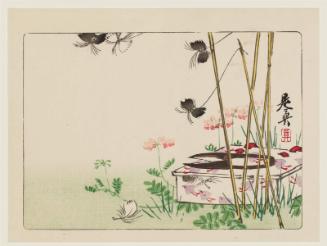 Box, Scissors, and Flowers, from the series Comparisons of Flowers, Part 2 (Hanakurabe nihen)