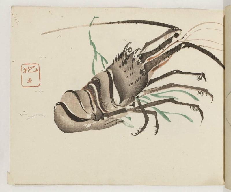 Spiny Lobster