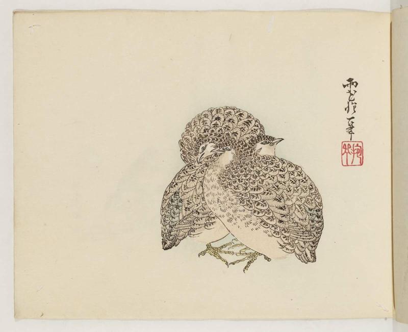 Three Quail