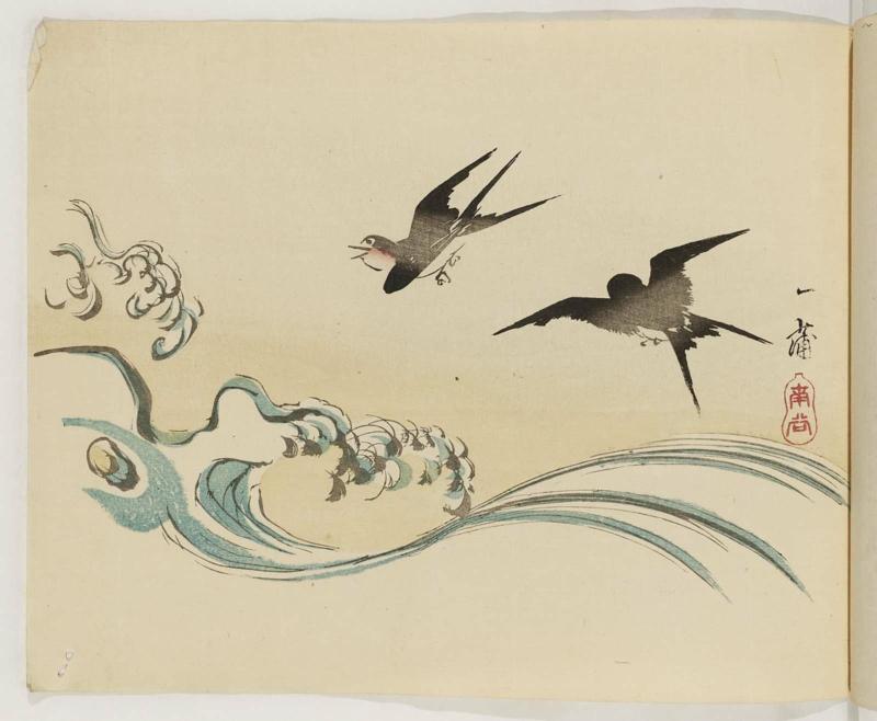 Swallows and Waves