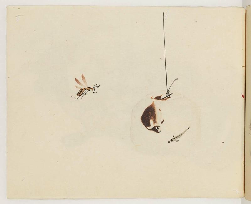 Wasp and Hanging Globe with Goldfish