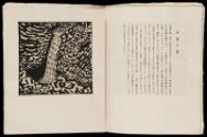 Print IX, Page 7