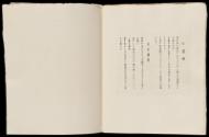 Print IX, Page 14
