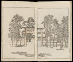 Volume II, Page 5