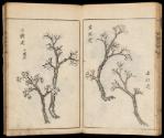 Volume I, Page 8