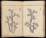 Volume I, Page 9