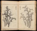 Volume I, Page 10