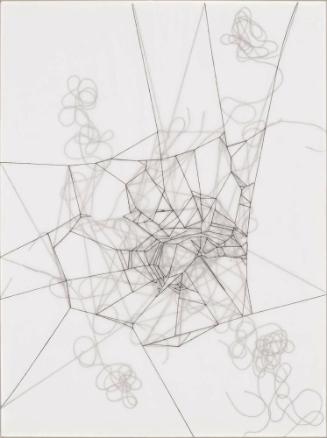 Spiderweb