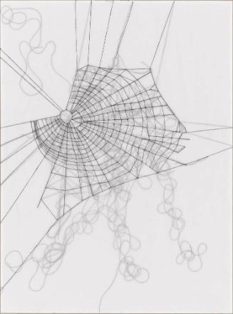 Spiderweb