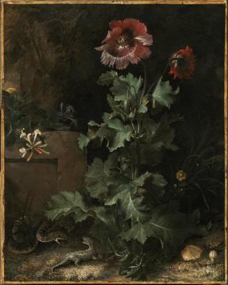 Still Life with Snake and Lizard