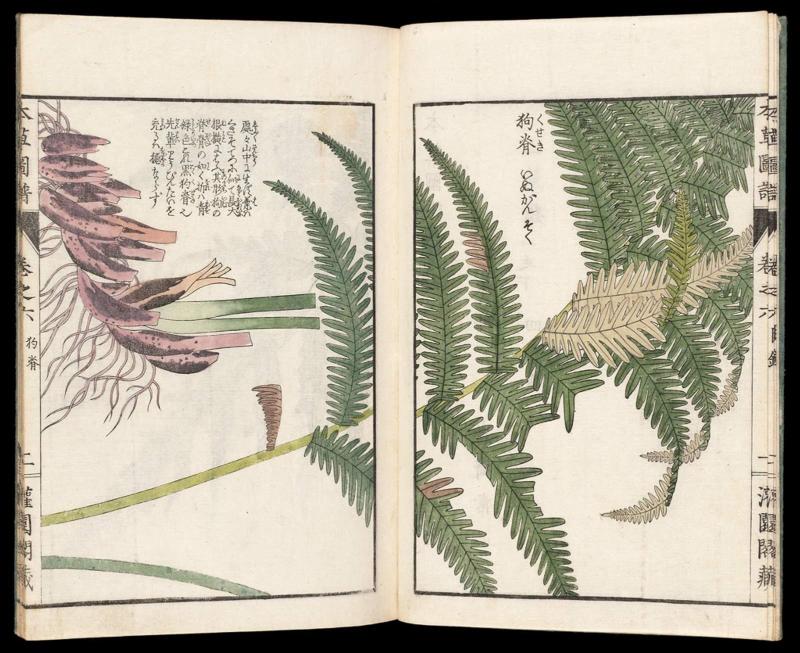 Volume I, Page 4