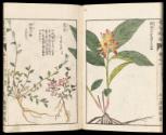 Volume I, Page 10