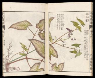 Volume I, Page 12