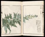 Volume I, Page 16