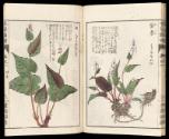 Volume I, Page 24