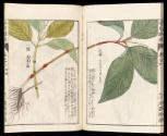 Volume I, Page 25