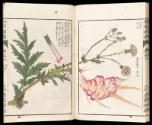 Volume I, Page 28